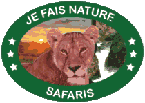 jeifas logo